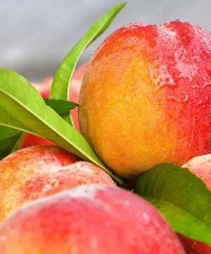 Как приготовить варенье из персиков дольками на зиму: простой рецепт с фото