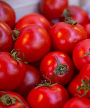 Простые пошаговые рецепты вкусных помидоров в желатине с луком и петрушкой